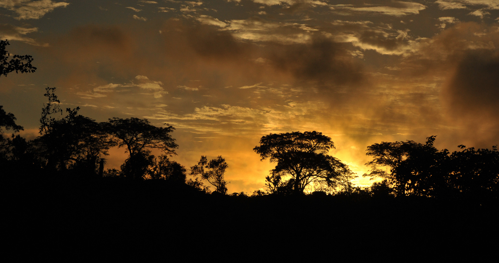 Kruger National Park [122 mm, 1/8000 sec at f / 11, ISO 1000]